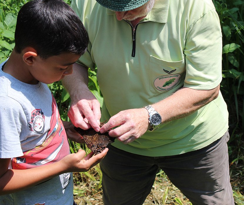 Schülerinnen und Schüler untersuchen gemeinsam mit Naturparkführer Michael Wennes den Rossbach.